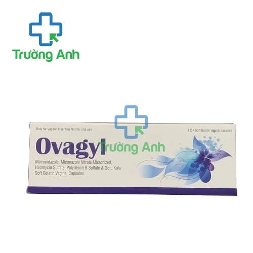 Ovagyl - Viên đặt âm đạo điều trị viêm âm hộ hiệu quả