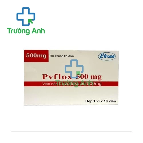 Pvflox 500mg - Thuốc điều trị nhiễm khuẩn của Pakistan