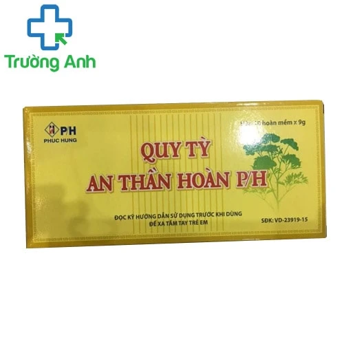 Quy tỳ An Thần Hoàn P/H (10 hoàn/hộp)