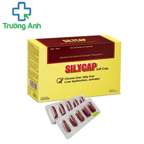 Silycap 100mg - Thuốc điều trị các bệnh lý ở gan hiệu quả