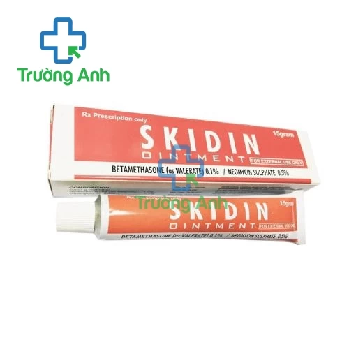 Skidin ointment 15g - Thuốc điều trị bệnh ngoài da hiệu quả