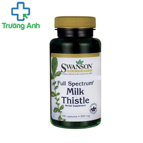 Swanson Milk Thistle 500mg - Thuốc bổ gan hiệu quả của Mỹ 