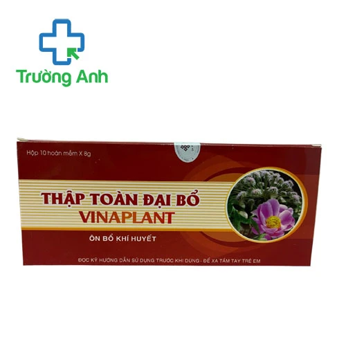 Thập toàn đại bổ Vinaplant (hoàn mềm) - Thuốc bồi bổ sức khỏe