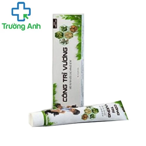 Thuốc bôi Công Trĩ Vương - Thuốc bôi điều trị trĩ