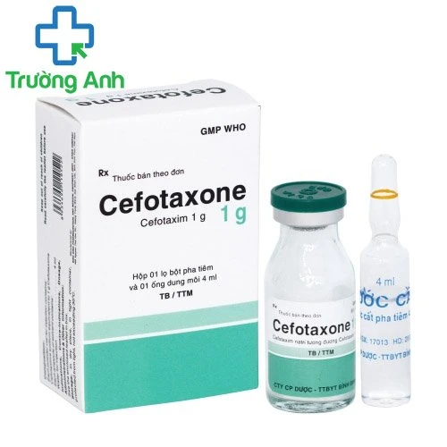 Cefotaxone 1g Bidiphar - Thuốc điều trị nhiễm khuẩn hiệu quả