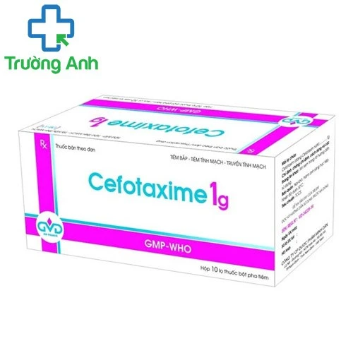 Cefotiam 1g MD Pharco - Thuốc điều trị nhiễm khuẩn hiệu quả