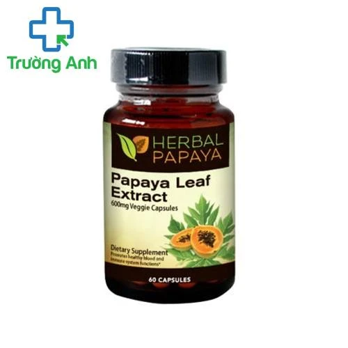 Papaya Leaf Extract 600mg - hỗ trợ bệnh nhân Ung thư của Mỹ