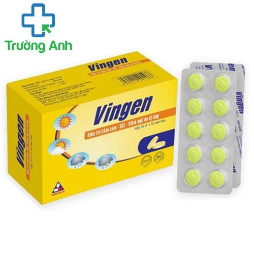 Vingen - Thuốc điều trị giảm đau, hạ sốt hiệu quả