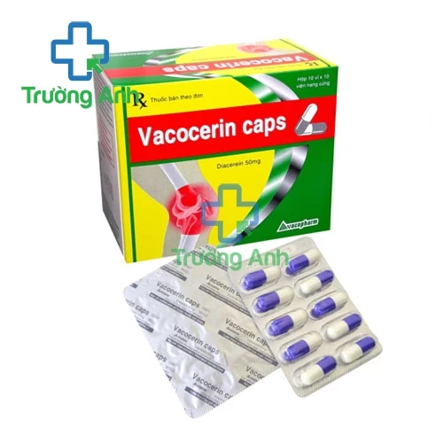 VACOCERIN CAPS - Thuốc điều trị thoái hóa khớp hiệu quả