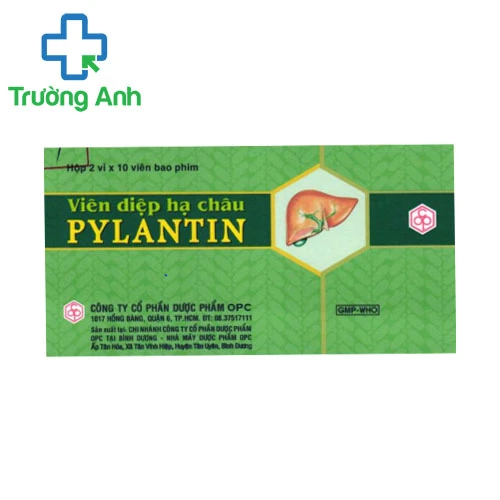 Viên diệp hạ châu Pylantin -Hỗ trợ điều trị viêm gan hiệu quả của OPC