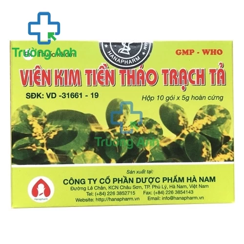 Kim Tiền Thảo Trạch Tả - Công Dụng, Phương Pháp Sử Dụng và Tiềm Năng trong Y Học