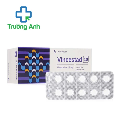 Vincestad 10 - Thuốc điều trị rối loạn tuần hoàn máu não hiệu quả của Stella