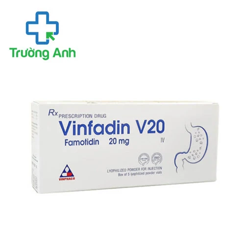 Vinfadin V20 Vinphaco - Thuốc điều trị loét dạ dày tá tràng hiệu quả