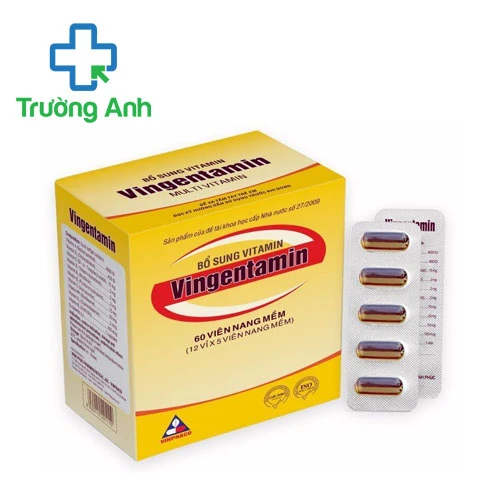 Vingentamin - Giúp bổ sung các vitamin hiệu quả