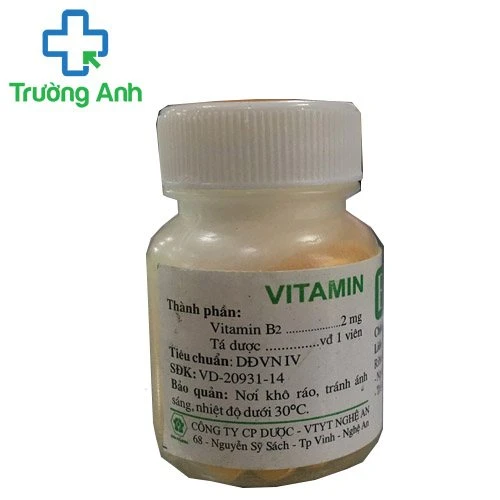 Vitamin B2 Nghệ An - Giúp bổ sung vitamin B hiệu quả