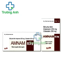 Amnam 0,5g - Thuốc điều trị nhiễm khuẩn hiệu quả của Dopharma