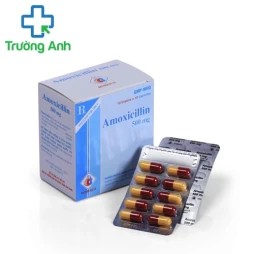 Amoxicyllin 500mg DMC - Thuốc điều trị nhiễm khuẩn hiệu quả