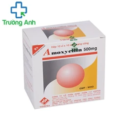 Amoxicyllin 500mg Vidipha - Thuốc điều trị nhiễm khuẩn hiệu quả