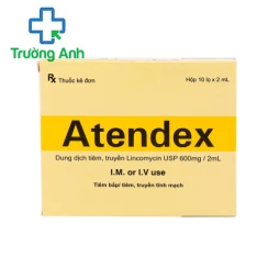 Atendex 600mg/2ml Makcur Laboratories - Thuốc điều trị nhiễm khuẩn nặng của Ấn Độ 