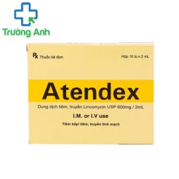 Atendex 600mg/2ml - Thuốc điều trị nhiễm khuẩn hiệu quả của India