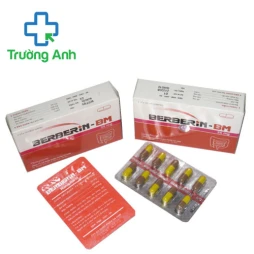 Berberin BM 25mg Hà Nam - Thuốc điều trị tiêu chảy hiệu quả