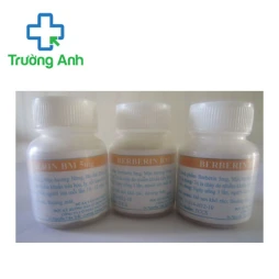 Berberin BM 5mg Hà Nam - Điều trị tiêu chảy hiệu quả