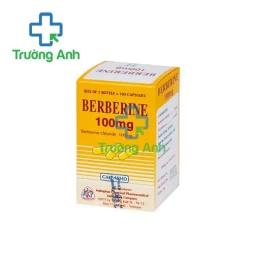 Berberine 100mg Mekophar - Thuốc điều trị nhiễm trùng đường ruột hiệu quả