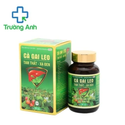 Cà gai leo tam thất xạ đen Syntech - Hỗ trợ tăng cường chức năng gan