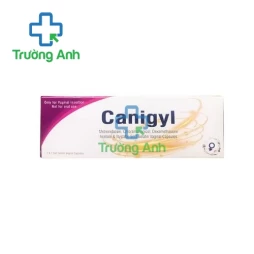 Canigyl Renowed Life Sciences - Viên đặt điều trị nhiễm khuẩn âm đạo