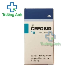 Cefobid 1g - Thuốc điều trị nhiễm khuẩn hiệu quả cùa Italy