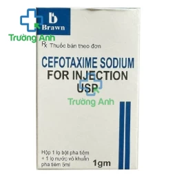 Cefotaxime 1g Brawn - Thuốc điều trị nhiễm khuẩn nặng của Ấn Độ hiệu quả