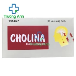 Cholina - Thuốc phục hồi sau đột quỵ hiệu quả