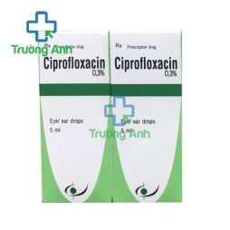 Ciprofloxacin 0,3% 5ml Bidiphar - Thuốc điều trị nhiễm khuẩn mắt, mũi hiệu quả (10 hộp)