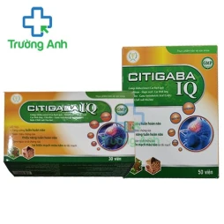 Citigaba IQ (vỉ) - Giúp hỗ trợ tăng cường tuần hoàn não hiệu quả