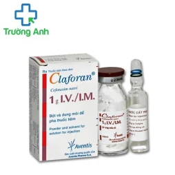 Claforan 1g - Thuốc điều trị nhiễm trùng nặng hiệu quả