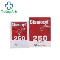 Clamoxyl 250mg - Thuốc điều trị nhiễm trùng hiệu quả