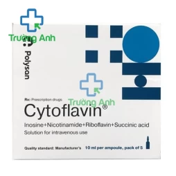 Cytoflavin 10ml - Thuốc điều trị rối loạn tuần hoàn não hiệu quả