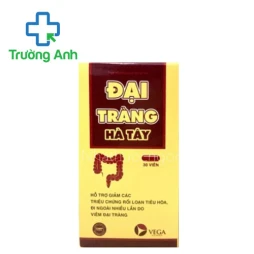 Đại Tràng Hà Tây (30 viên) - Hỗ trợ giảm triệu chứng rối loạn tiêu hóa