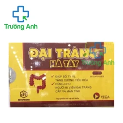 Đại Tràng Hà Tây (50 viên) - Hỗ trợ điều trị viêm đại tràng hiệu quả