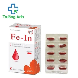 Fe-In Cameli - Hỗ trợ bổ sung sắt, acid folic cho cơ thể