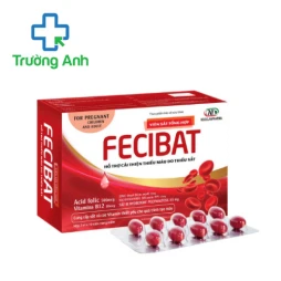 Fecibat - Viên uống bổ sung sắt hiệu quả cho cơ thể