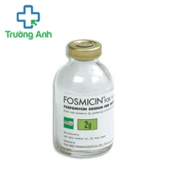 Fosmicin for I.V. Use 2g Meiji Seika - Thuốc điều trị nhiễm trùng