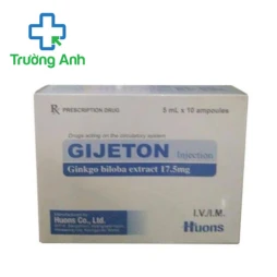 Gijeton Injection 17,5mg/5ml - Thuốc điều trị rối loạn tuần hoàn ngoại biên