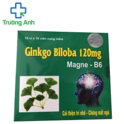 Ginkgo Biloba 120mg - Giúp cải thiện trí nhớ, mất ngủ hiệu quả