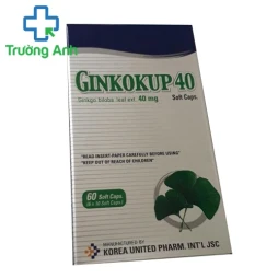 Ginkokup 40mg - Thuốc điều trị các bệnh về rối loại trí não