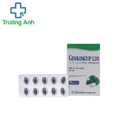 Ginkokup 120mg - Điều trị hội chứng về não hiệu quả