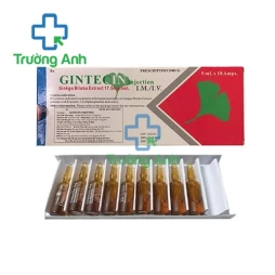 Gintecin Injection 17,5mg/5ml - Thuốc điều trị rối loạn tuần hoàn máu não