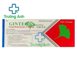 Gintecin Injection 17,5mg/5ml - Thuốc điều trị rối loạn tuần hoàn máu não