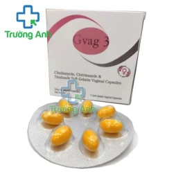 Gvag 3 - Viên đặt điều trị viêm âm đạo hiệu quả của India