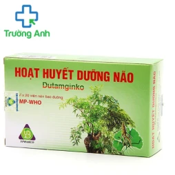 Hoạt huyết dưỡng não Dutamginko - Thuốc điều trị thiểu năng tuần hoàn não